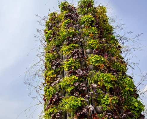 Bepflanzung des ALPAKA Innovation Green Towers